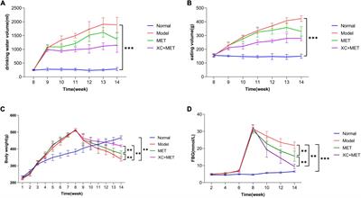 Scrophulariae Radix-Atractylodes sinensis pair and metformin inhibit inflammation by modulating gut microbiota of high-fat diet/streptozotocin-induced diabetes in rats